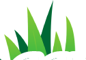 agrosdeborinquen.com logo