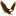 aguiadigital.com.br logo