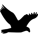 aguianacional.com.br logo