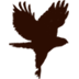 ahawksviewfarm.com logo
