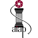 aiap.net logo
