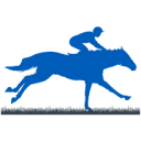 aikenhorserealty.com logo