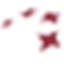 airmex.net logo