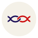 akanema.fr logo