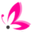 akiara.in logo