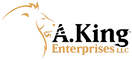 akingenterprisesllc.com logo