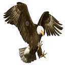 akromaplaza.com logo