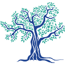 akyadent.com logo
