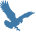 aladdincap.com logo