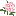 alaskapeony.com logo