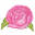 alaskapeonycooperative.com logo