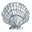 alaskascallop.net logo
