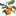 albemarleciderworks.com logo
