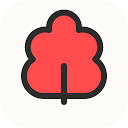 alberofamiliare.com logo