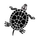 albinoturtles.com logo
