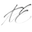 alchemiaessenze.it logo
