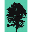 alejol.cz logo