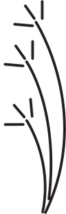alelijewelry.com logo