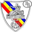 alexandruionescu.ro logo