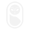 aleypaginasweb.com logo