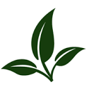 alfana.de logo