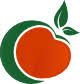 alfredechave.com.au logo
