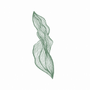 algahub.com logo