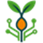 algoseeds.com logo