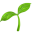 aliae.dev logo
