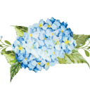 alicefleurs.com logo