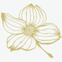 aliciajoyhealing.com logo