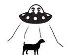 alienfarmsfl.com logo