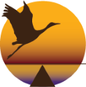 alignedmetrics.net logo
