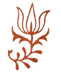 alinayoga.de logo