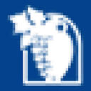 alivini.com logo