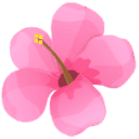 alizeperfumaria.com.br logo