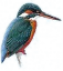 alkion.co.uk logo