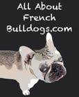 allaboutfrenchbulldogs.com logo