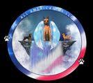 allamericank9llc.com logo