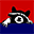 allentownraccoon.com logo