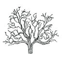 allenvineyards.com logo