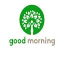 allgoodmoringa.com logo