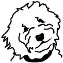 allgoodusa.com logo