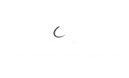 alliedbusinessadvisors.com logo