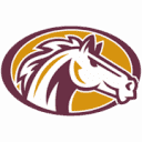 allison-companies.net logo