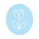 allisoncapps.com logo