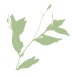 allisonmccready.com logo