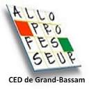 alloprofesseur.net logo