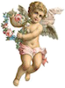 allstarextracts.com logo
