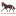 allthekingshorsesranch.com logo
